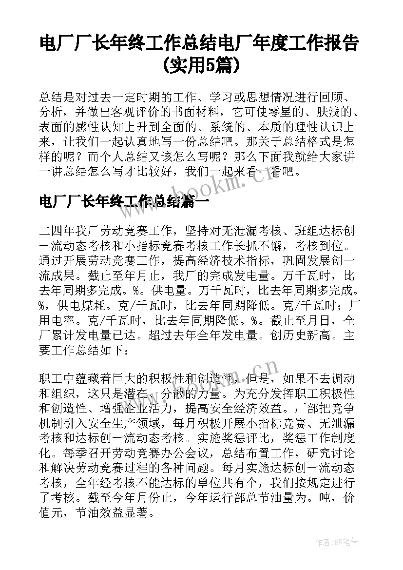 电厂厂长年终工作总结 电厂年度工作报告(实用5篇)