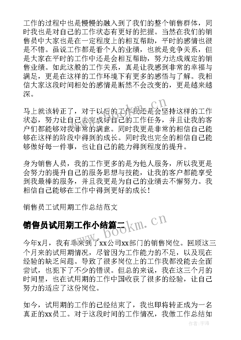 2023年销售员试用期工作小结 销售员工试用期工作总结(通用5篇)