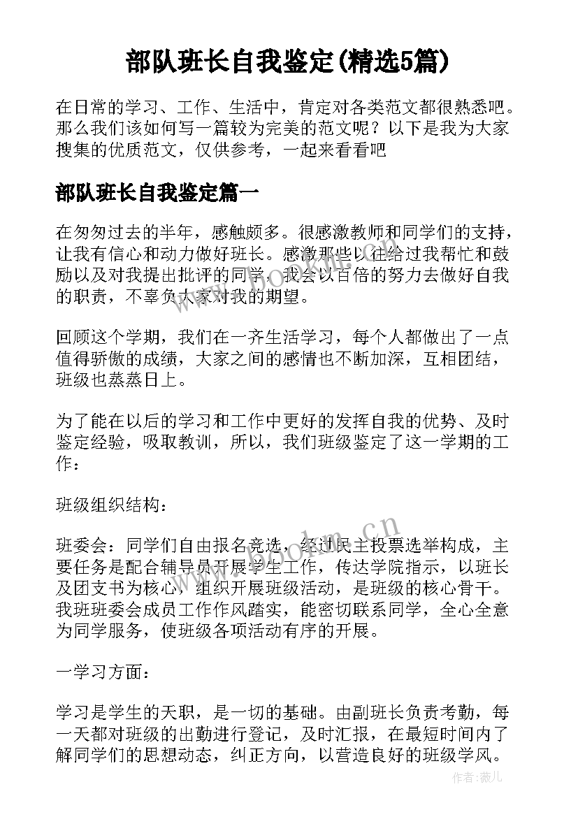 部队班长自我鉴定(精选5篇)