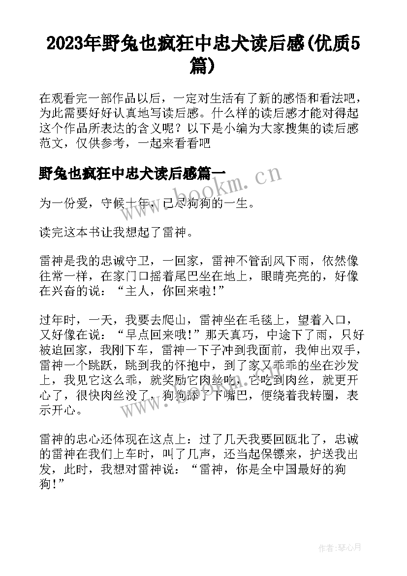 2023年野兔也疯狂中忠犬读后感(优质5篇)