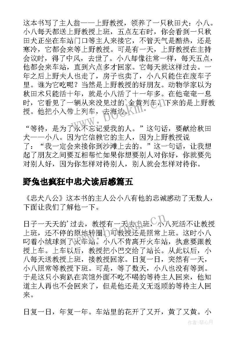 2023年野兔也疯狂中忠犬读后感(优质5篇)