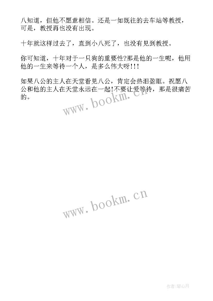 2023年野兔也疯狂中忠犬读后感(优质5篇)