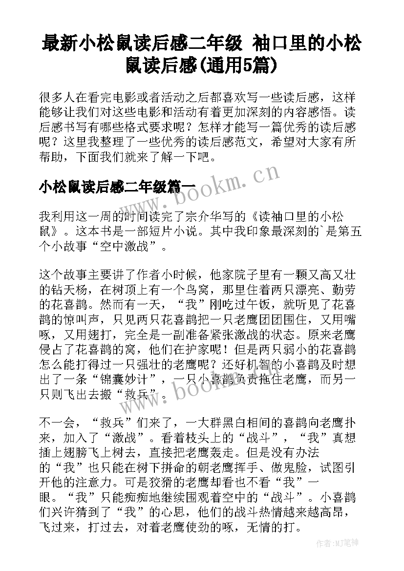 最新小松鼠读后感二年级 袖口里的小松鼠读后感(通用5篇)