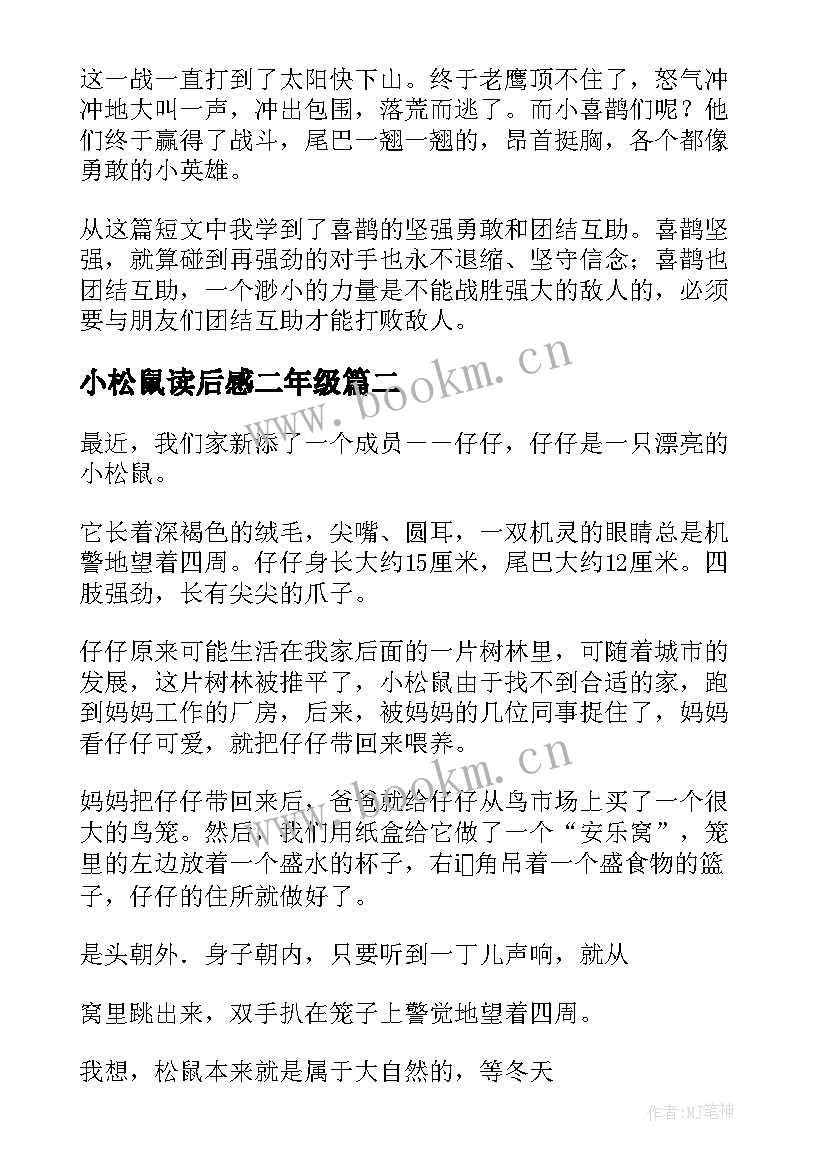 最新小松鼠读后感二年级 袖口里的小松鼠读后感(通用5篇)