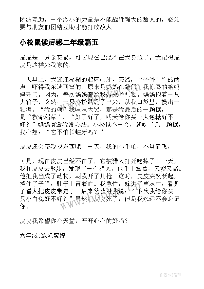 最新小松鼠读后感二年级 袖口里的小松鼠读后感(通用5篇)