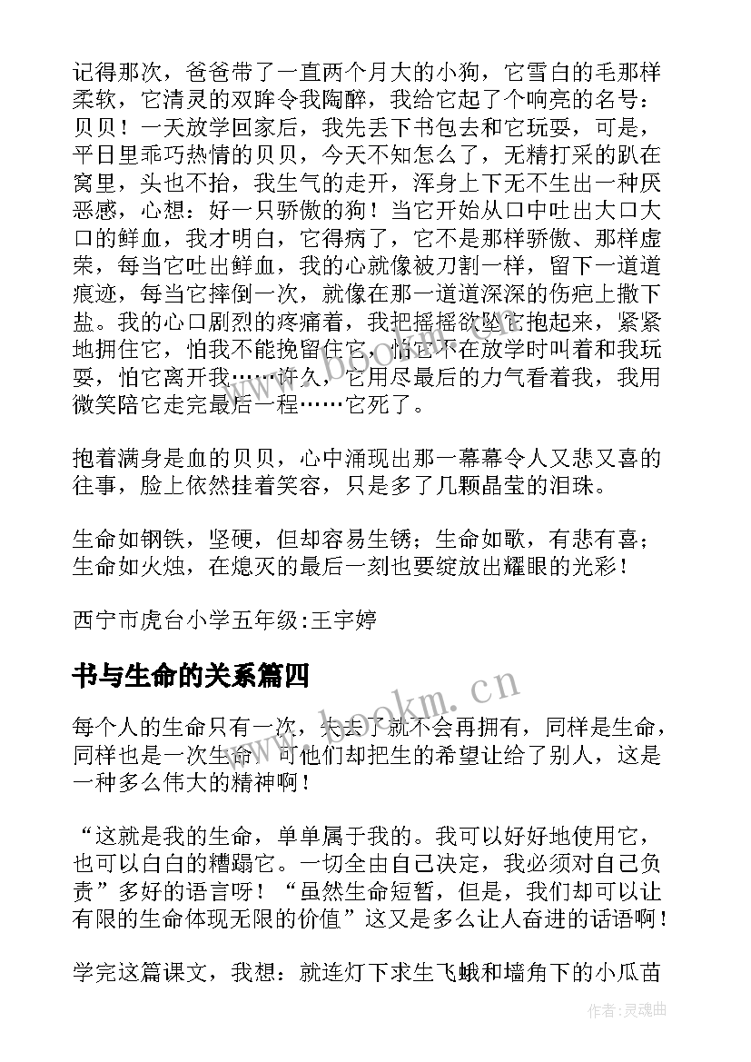 最新书与生命的关系 生命生命读后感(实用8篇)