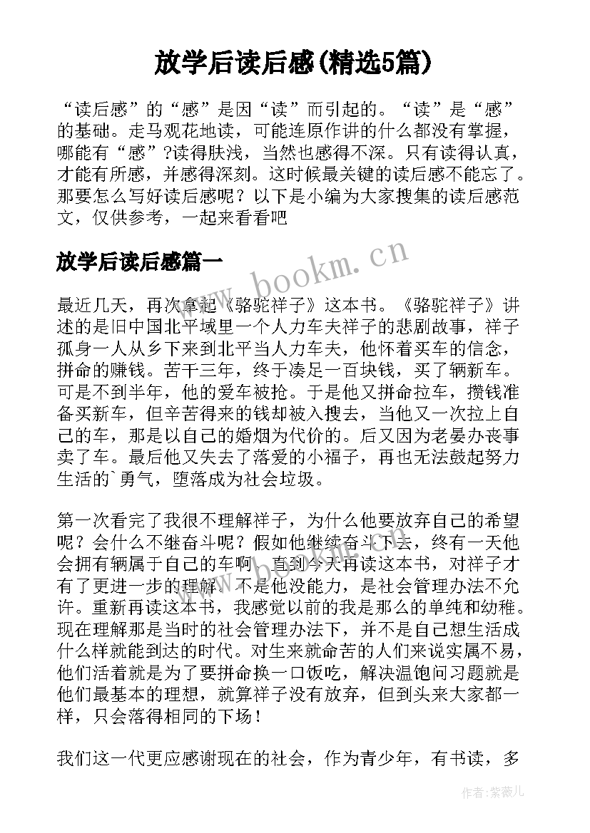 放学后读后感(精选5篇)