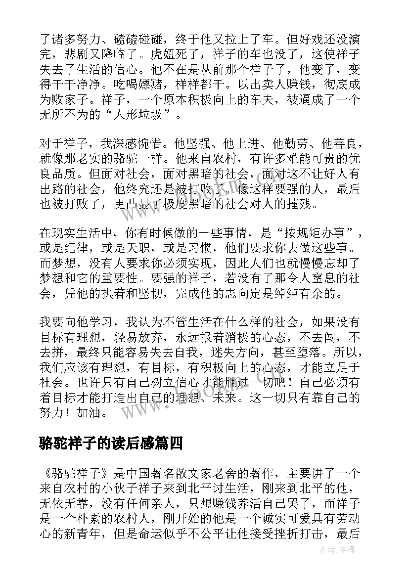 骆驼祥子的读后感 骆驼祥子读后感(模板10篇)