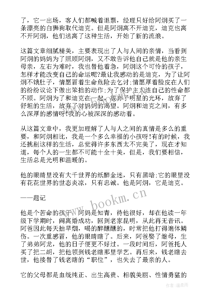 我们一起走迪克中的好词好句 我们一起走迪克读后感(汇总9篇)