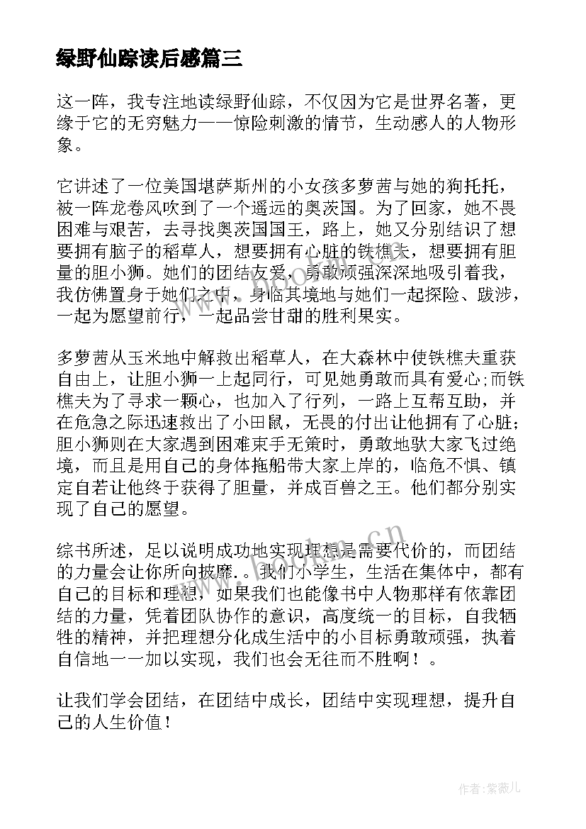 2023年绿野仙踪读后感(优秀5篇)