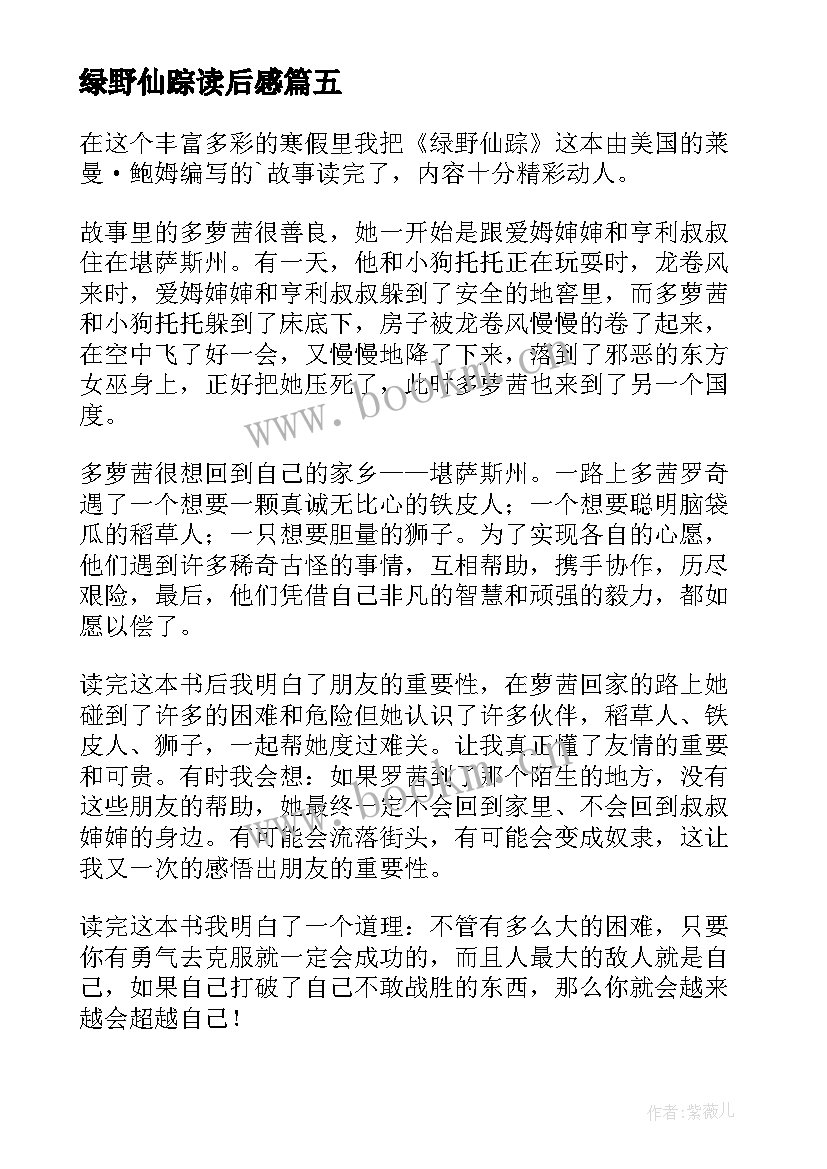 2023年绿野仙踪读后感(优秀5篇)