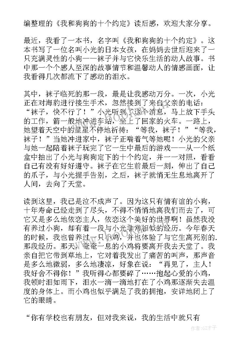 读后感以内 我和狗狗的十个约定读后感(优质5篇)