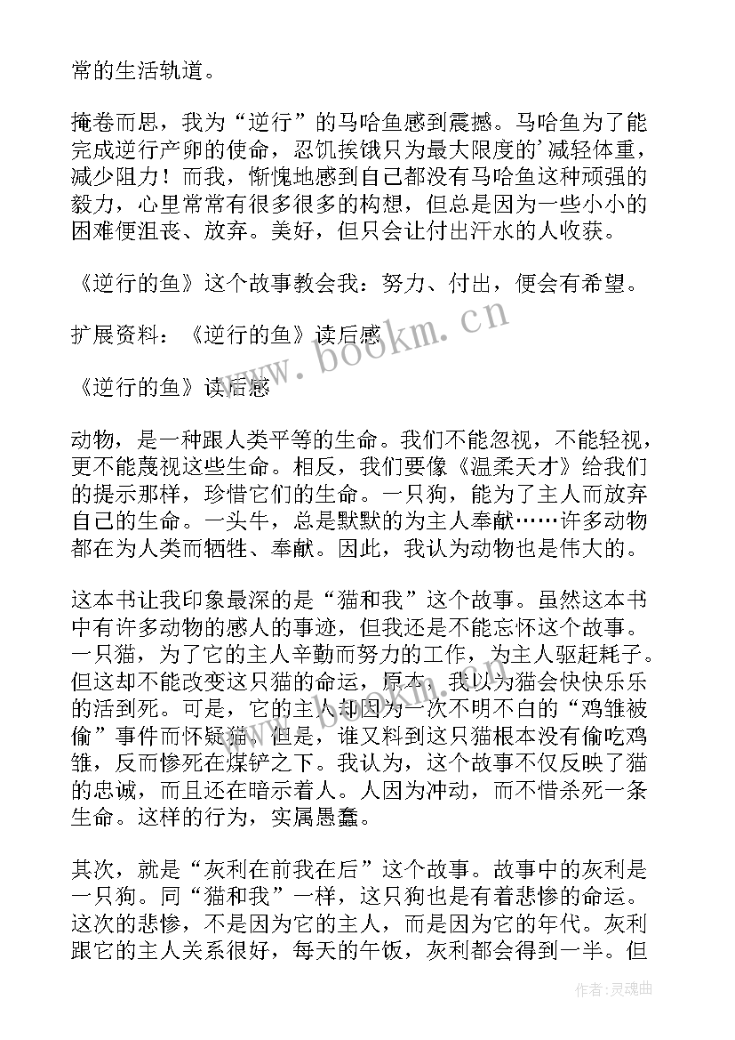 最新山行的读后感十几个字 逆行的鱼读后感(优质10篇)