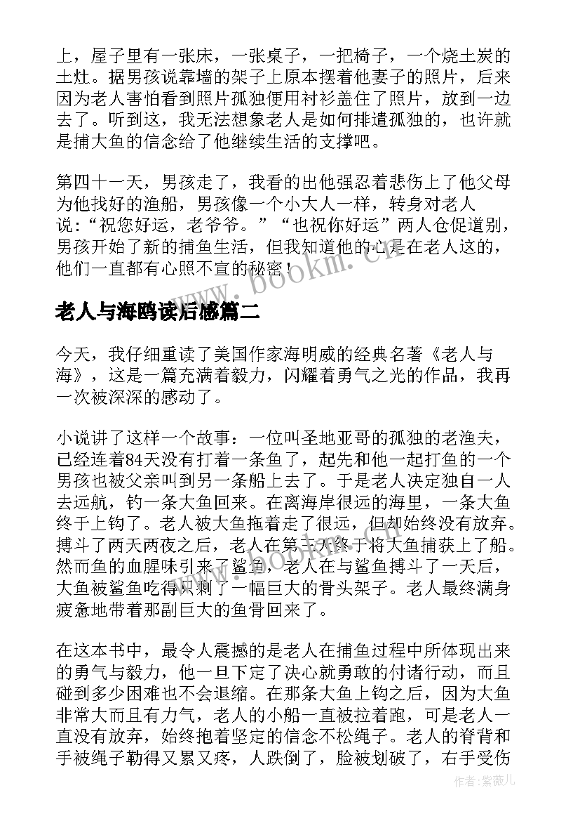 2023年老人与海鸥读后感(优秀7篇)