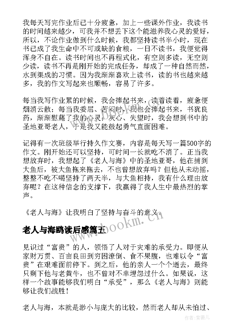 2023年老人与海鸥读后感(优秀7篇)