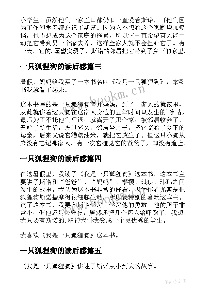 最新一只狐狸狗的读后感 我是一只狐狸狗读后感(精选5篇)