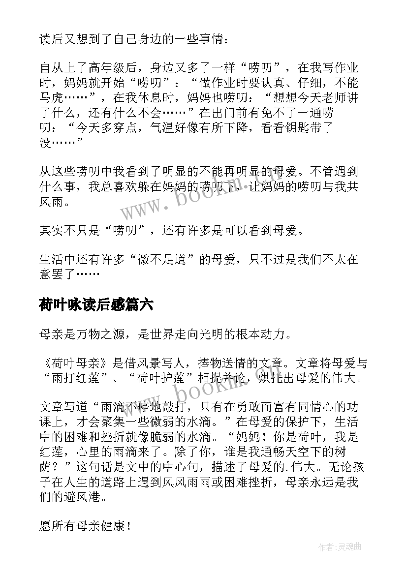 2023年荷叶咏读后感 荷叶母亲读后感(精选6篇)