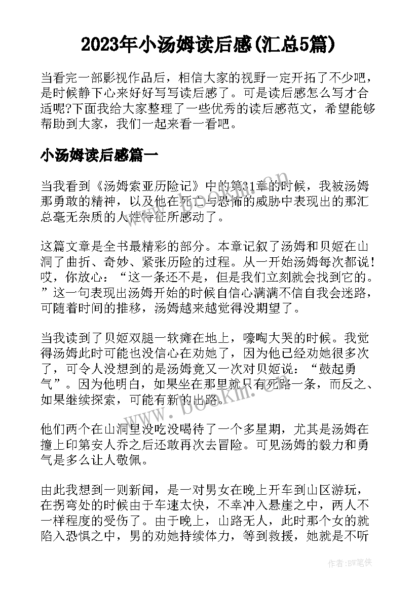 2023年小汤姆读后感(汇总5篇)