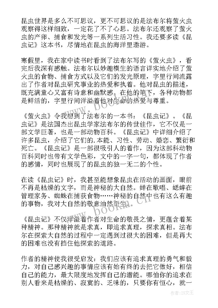 2023年昆虫记萤火虫读后感 萤火虫小巷读后感(汇总5篇)