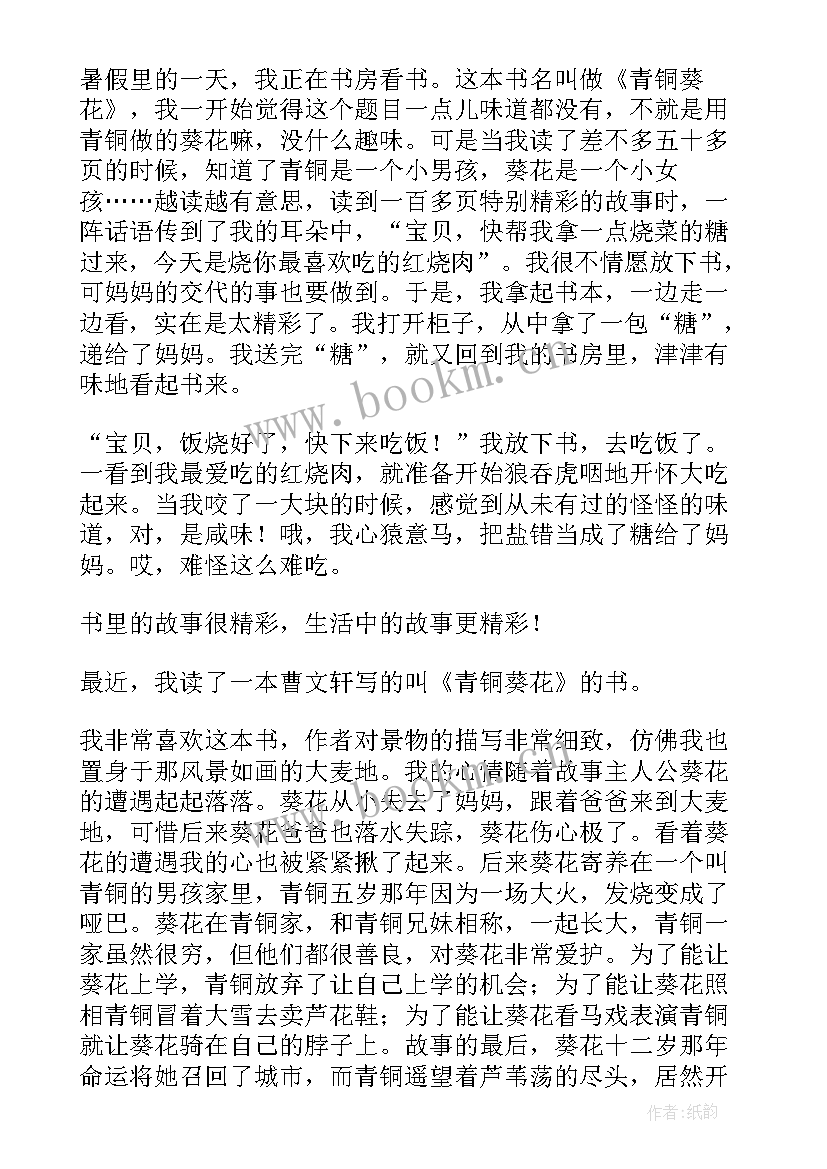 2023年青铜葵花第七章的读后感受(实用5篇)