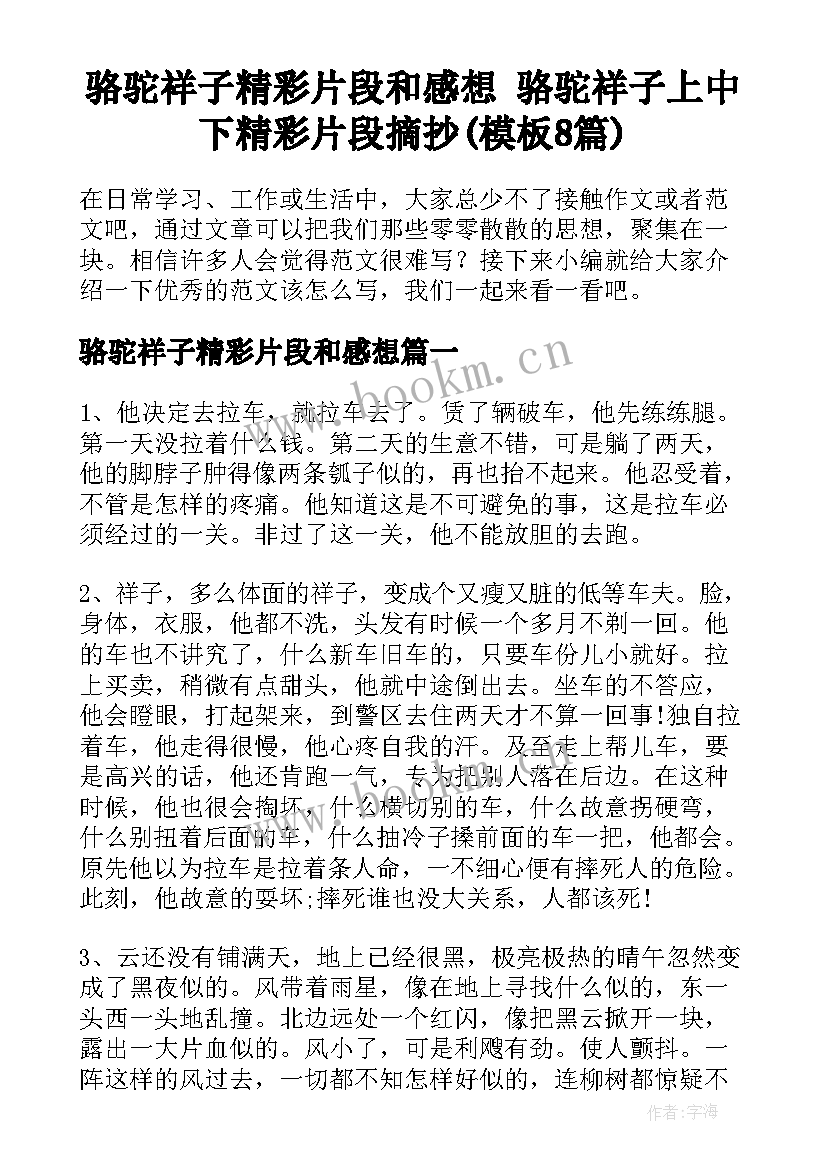 骆驼祥子精彩片段和感想 骆驼祥子上中下精彩片段摘抄(模板8篇)