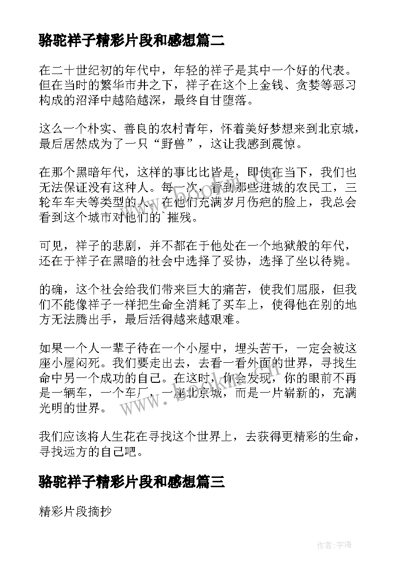 骆驼祥子精彩片段和感想 骆驼祥子上中下精彩片段摘抄(模板8篇)