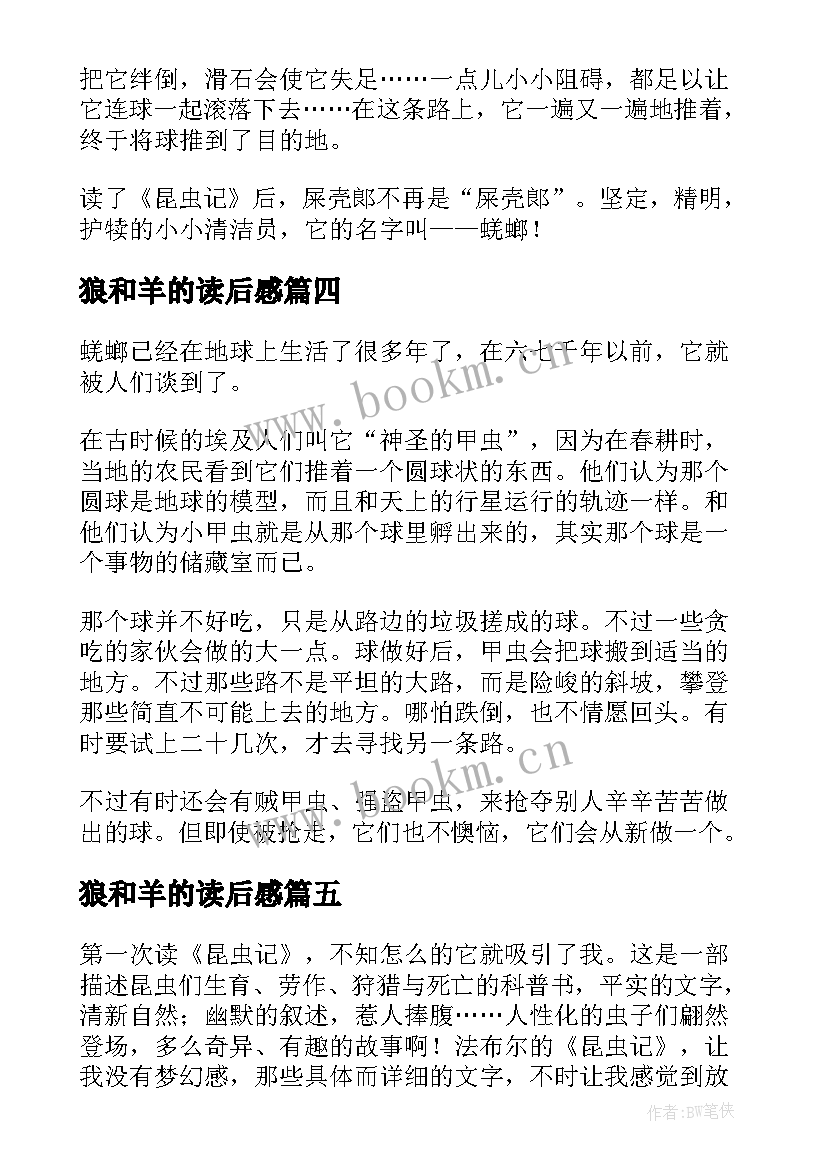 2023年狼和羊的读后感(实用5篇)