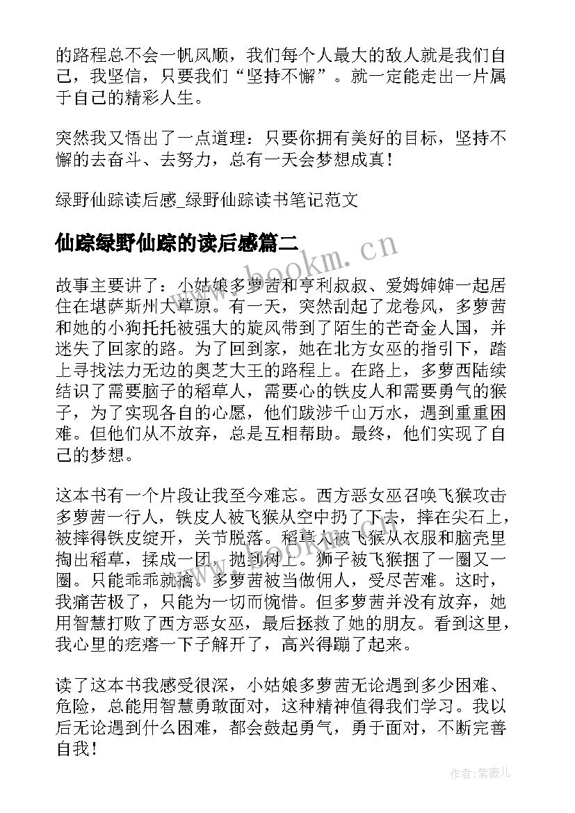 最新仙踪绿野仙踪的读后感(汇总7篇)