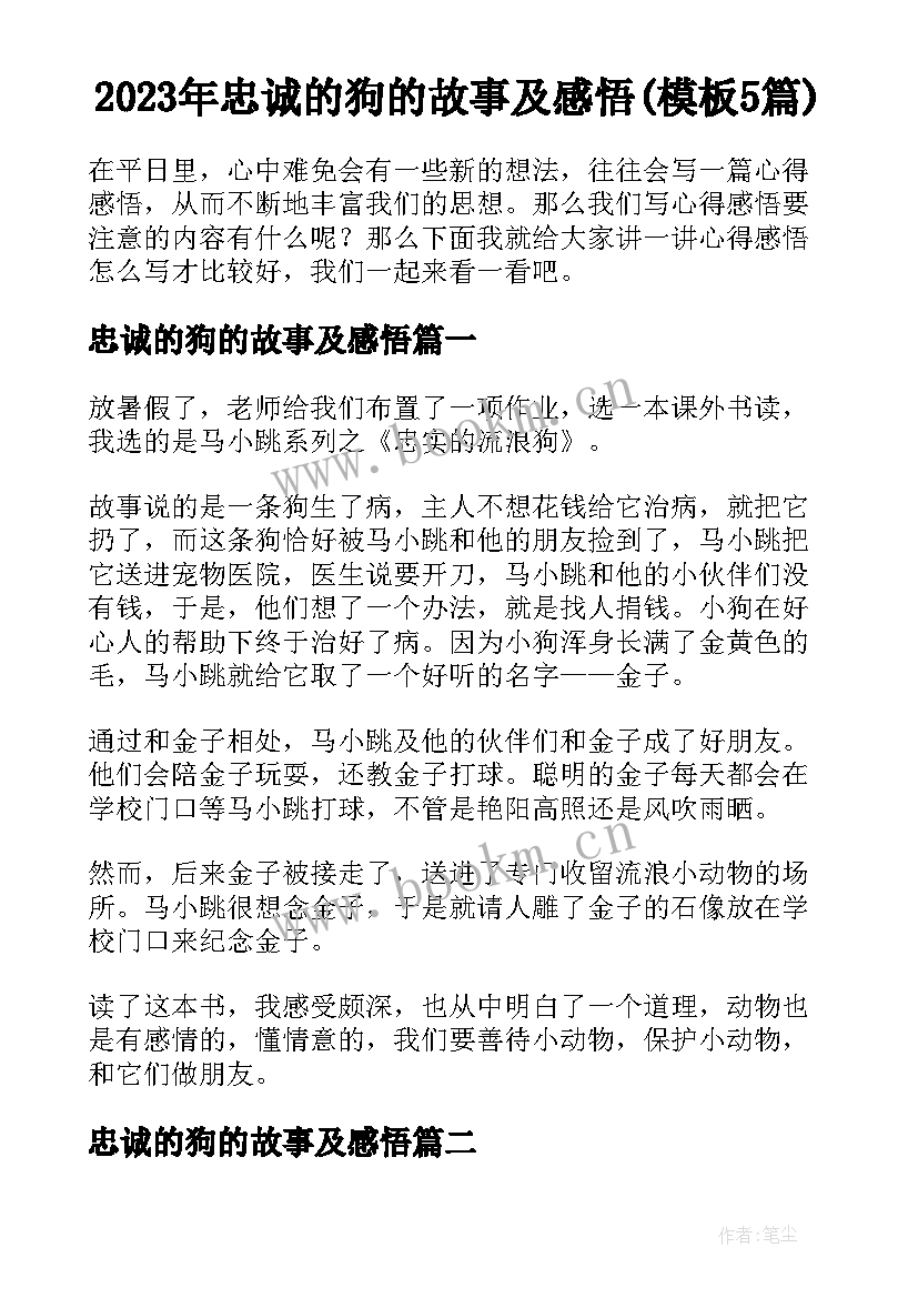 2023年忠诚的狗的故事及感悟(模板5篇)