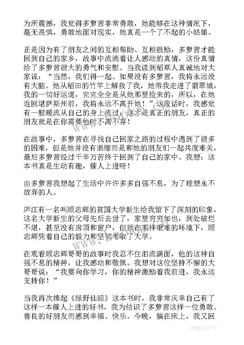 2023年巜绿野仙踪 绿野仙踪读后感(优质5篇)