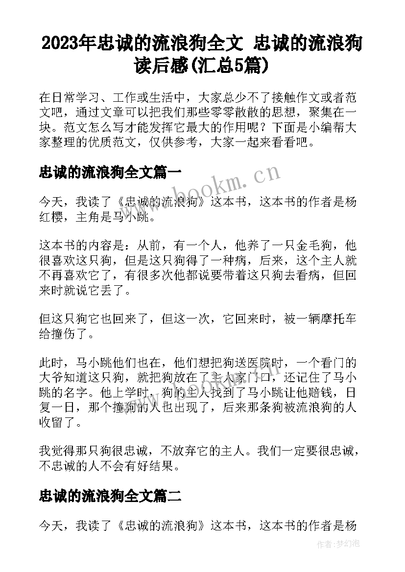 2023年忠诚的流浪狗全文 忠诚的流浪狗读后感(汇总5篇)