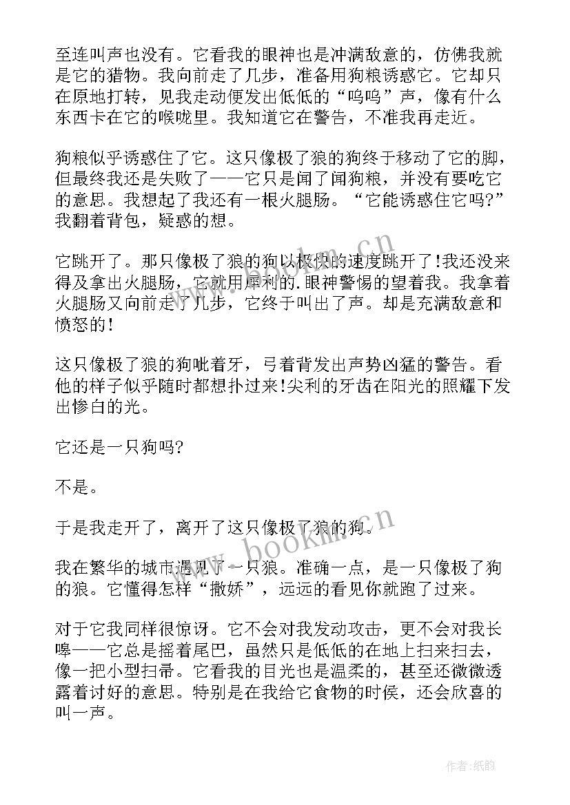 盲童读后感(汇总5篇)