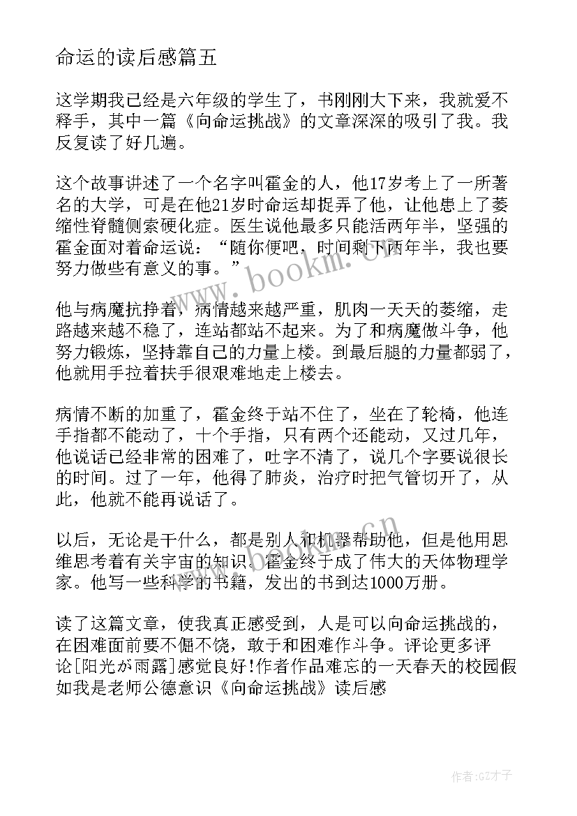 命运的读后感 向命运挑战读后感(模板7篇)