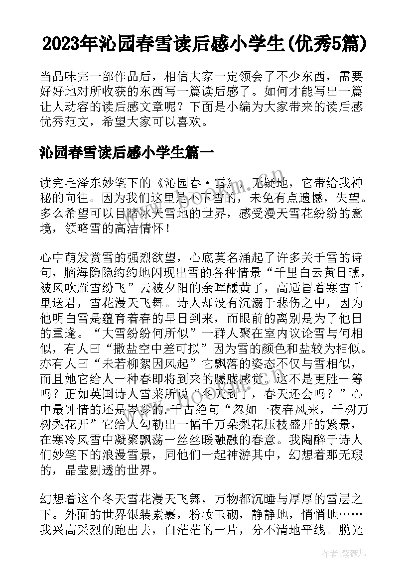 2023年沁园春雪读后感小学生(优秀5篇)