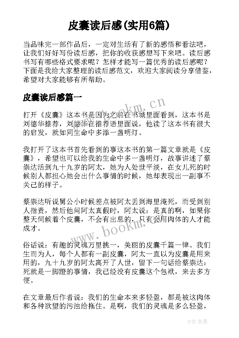 皮囊读后感(实用6篇)