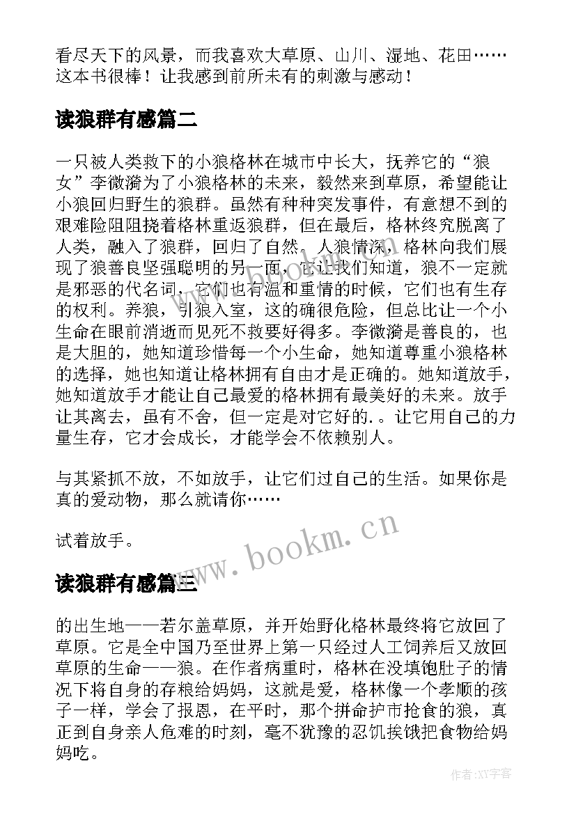 2023年读狼群有感 重返狼群读后感(实用5篇)