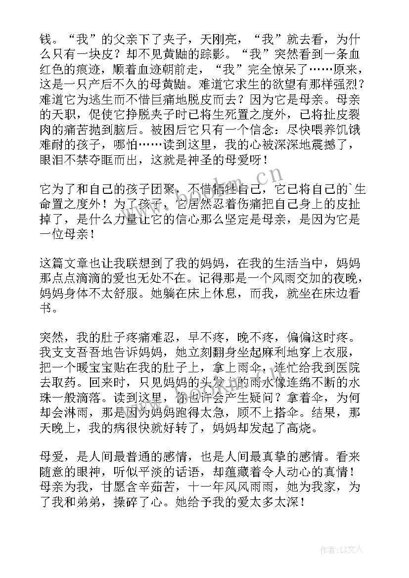 2023年读后感摘抄(大全9篇)