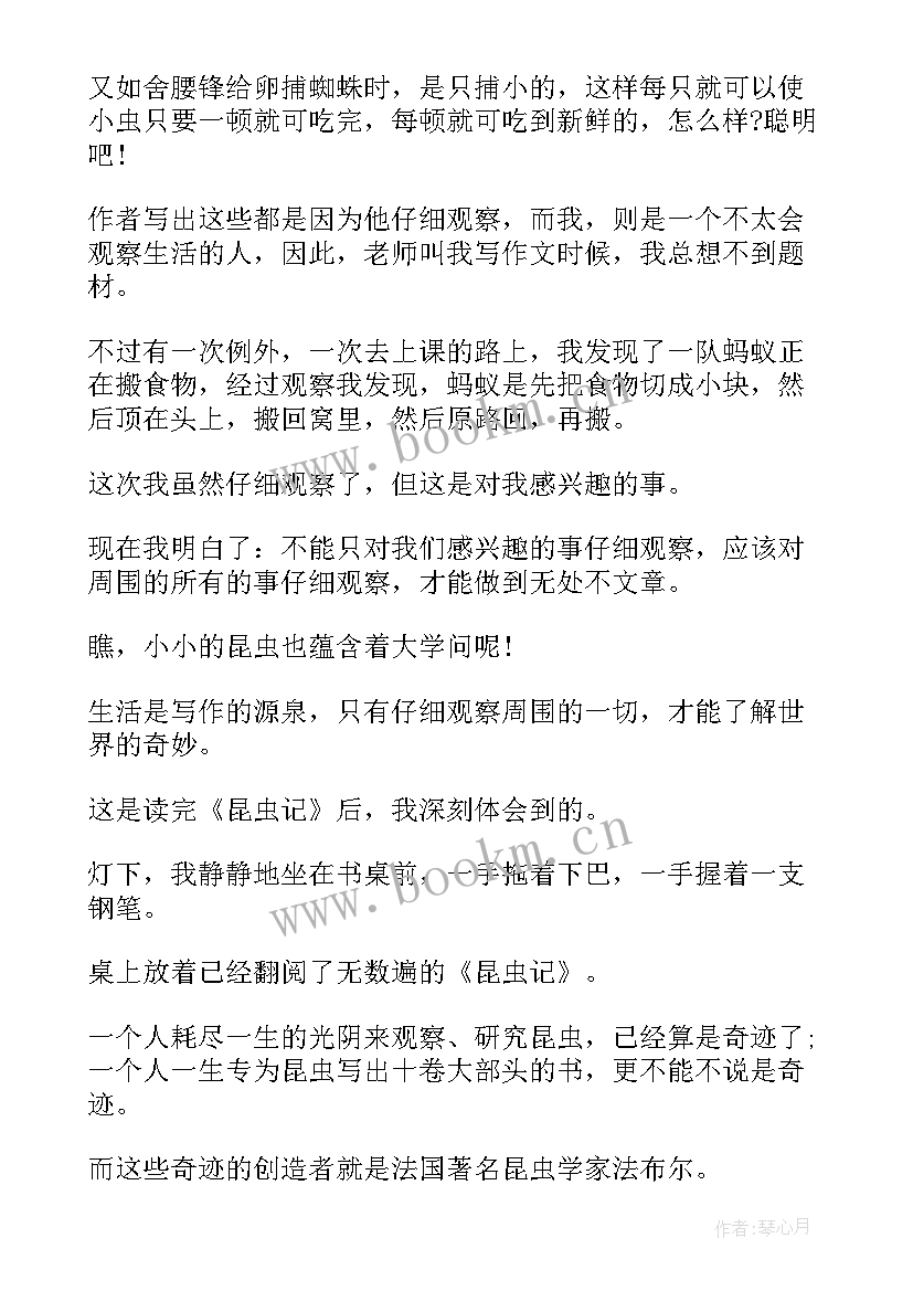 最新灭法国读后感 法国中尉的女人读后感(通用5篇)