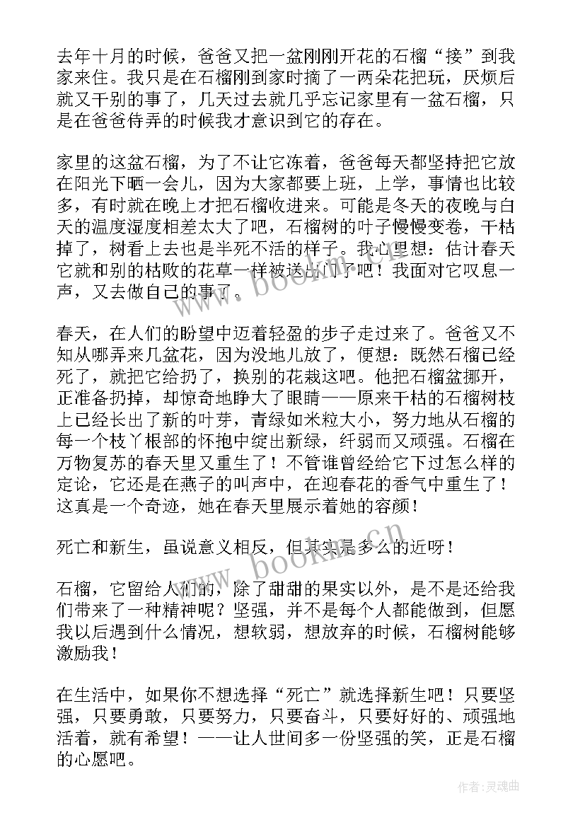 最新石榴灯的秘密读后感(实用5篇)