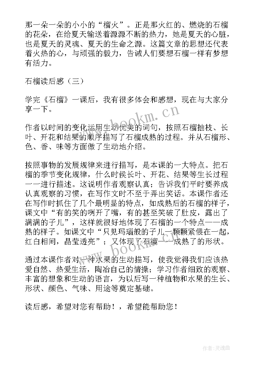 最新石榴灯的秘密读后感(实用5篇)