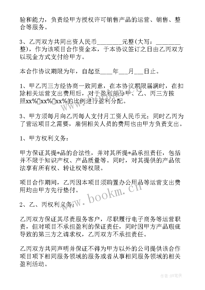 2023年电商运营方案(精选5篇)