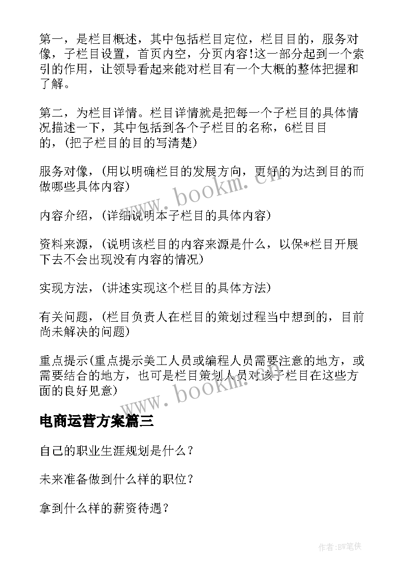 2023年电商运营方案(精选5篇)