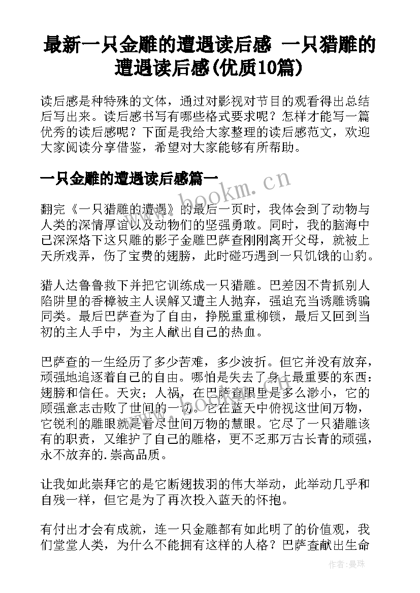 最新一只金雕的遭遇读后感 一只猎雕的遭遇读后感(优质10篇)