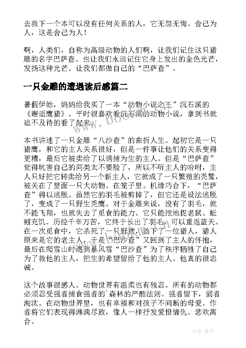 最新一只金雕的遭遇读后感 一只猎雕的遭遇读后感(优质10篇)