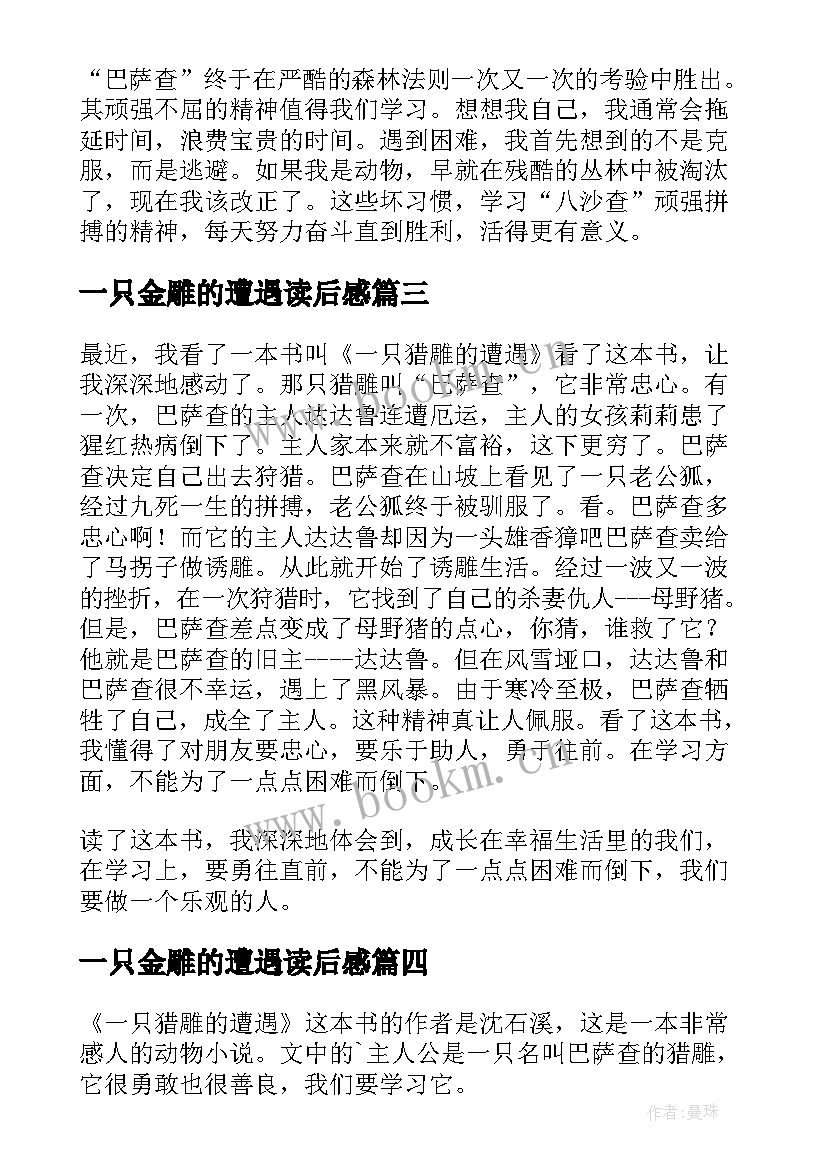 最新一只金雕的遭遇读后感 一只猎雕的遭遇读后感(优质10篇)