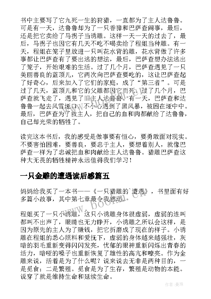 最新一只金雕的遭遇读后感 一只猎雕的遭遇读后感(优质10篇)