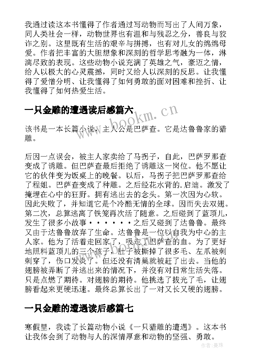 最新一只金雕的遭遇读后感 一只猎雕的遭遇读后感(优质10篇)