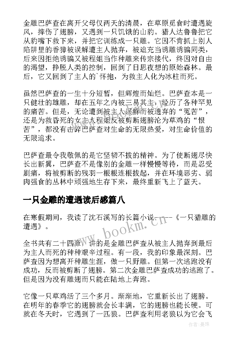 最新一只金雕的遭遇读后感 一只猎雕的遭遇读后感(优质10篇)