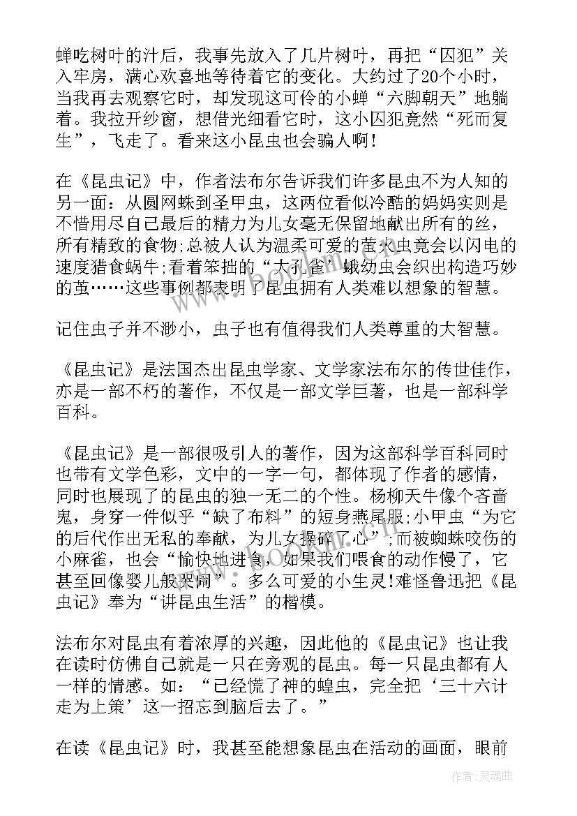 最新昆虫记章读后感 昆虫记读后感(大全5篇)