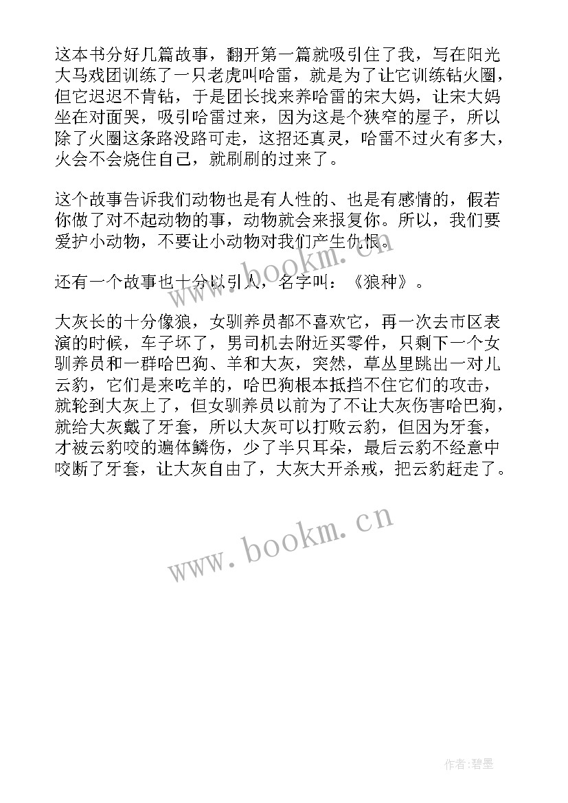 最新老虎哈雷读后感 读老虎哈雷读后感(通用5篇)